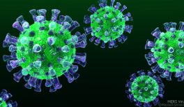 How may coronavirus symptoms (COVID-19)  manifest on the skin?