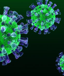 How may coronavirus symptoms (COVID-19)  manifest on the skin?